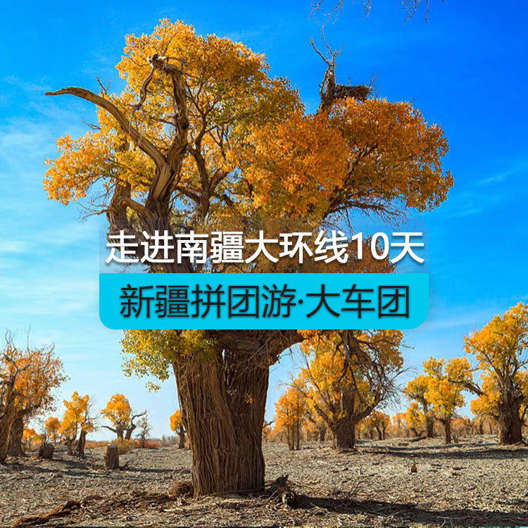 【新疆拼團(tuán)游·大車團(tuán)】走近南疆大環(huán)線10日游（景點(diǎn)包含：博斯騰湖、輪臺(tái)胡楊林、359旅紀(jì)念館、沙漠公路、莎車?yán)铣?、白沙湖、喀拉?kù)勒湖、開城儀式、達(dá)瓦昆沙漠、天山托木爾大峽谷）線路編號(hào)：11447