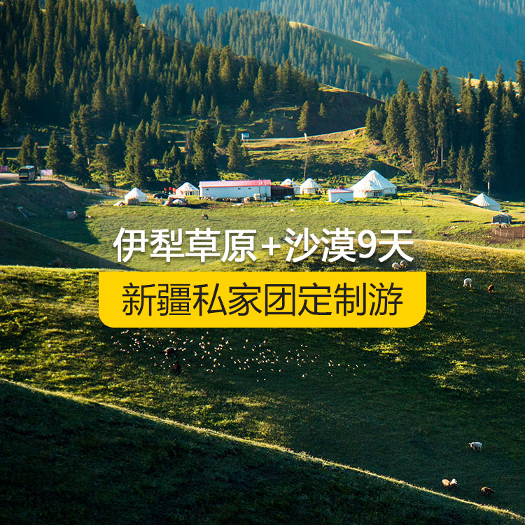 【新疆·北疆·私家團定制游·9天8晚】北疆伊犁草原沙漠純玩9日游（景點包含：獨山子大峽谷+賽里木湖+解憂公主薰衣草農(nóng)場+那拉提空中草原+巴音布魯克天鵝湖+獨庫公路+唐布拉百里畫廊+天山天池+國際大巴扎+交河故城+吐峪溝+鄯善庫木塔格沙漠+火焰山+坎兒井+吐魯番葡萄溝）產(chǎn)品編號 : 11337