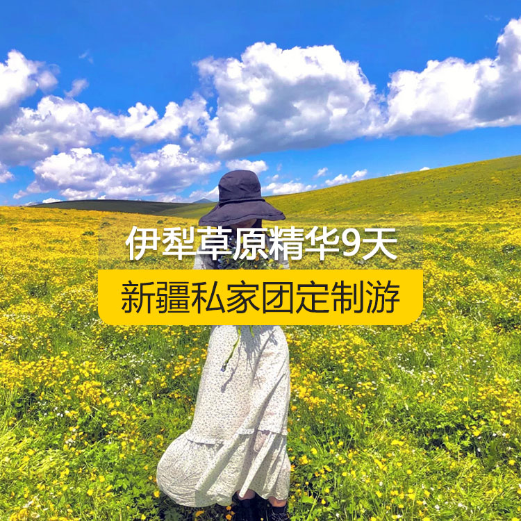 【新疆·北疆·私家團定制游·9天8晚】北疆伊犁精華純玩9日游（景點包含：獨山子大峽谷+賽里木湖+解憂公主薰衣草農(nóng)場+喀贊其民俗區(qū)+伊昭公路+昭蘇濕地公園+夏塔古道+喀拉峻+特克斯八卦城+那拉提空中草原+巴音布魯克天鵝湖+獨庫公路+唐布拉百里畫廊+S101省道+國際大巴扎）產(chǎn)品編號 : 11336