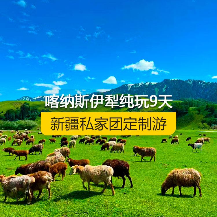 【新疆·北疆·私家團定制游·9天8晚】北疆喀納斯伊犁純玩9日游(景點包含:S21沙漠公路+五彩灘+喀納斯+禾木村+烏爾禾魔鬼城+賽里木湖+果子溝(途觀)+伊犁那拉提空中草原+巴音布魯克草原+獨庫公路+唐布拉+獨山子大峽谷+國際大巴扎)產(chǎn)品編號 : 11339